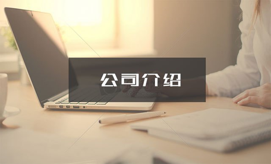 公司介绍 公司介绍